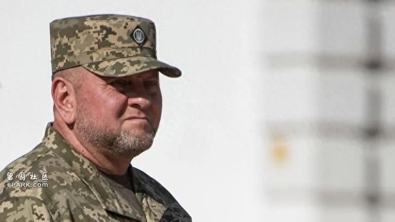 乌克兰武装部队总司令瓦列里·扎卢日内